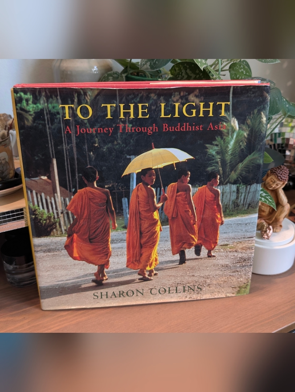 To The Light - Sharon Collins